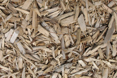 biomass boilers Winding Wood
